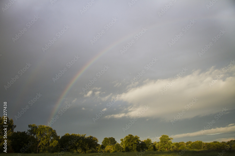 Naklejka premium Double rainbow on a stormy August morning