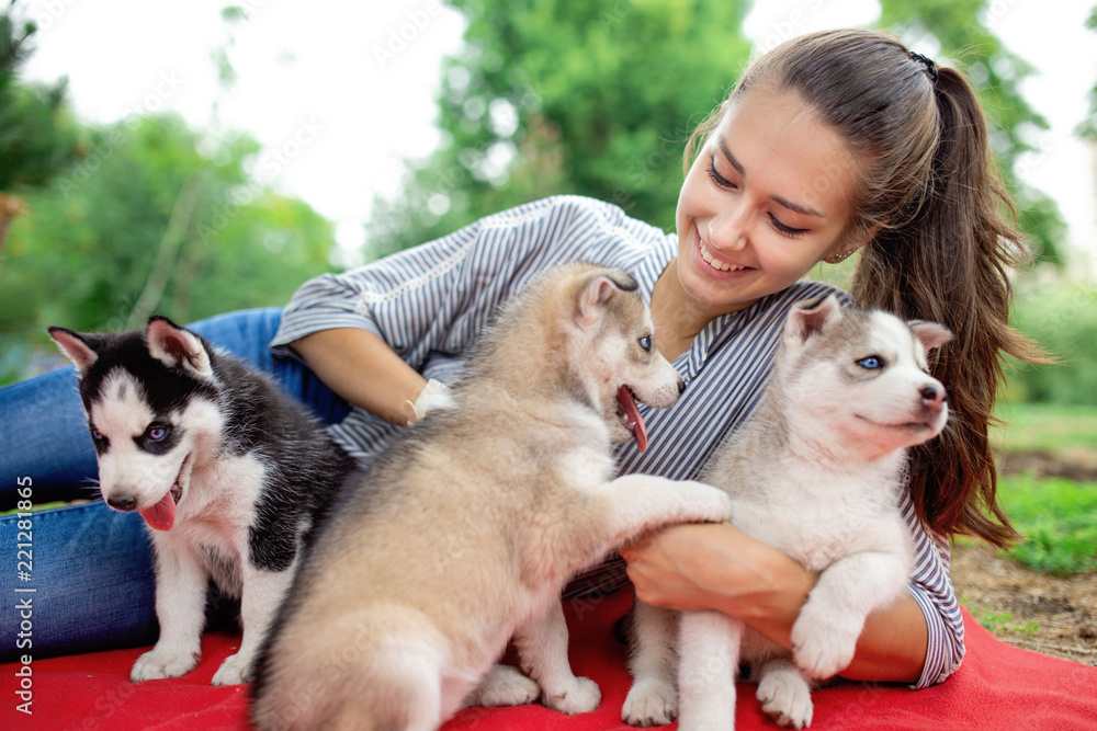 Husky Puppies Cuddling