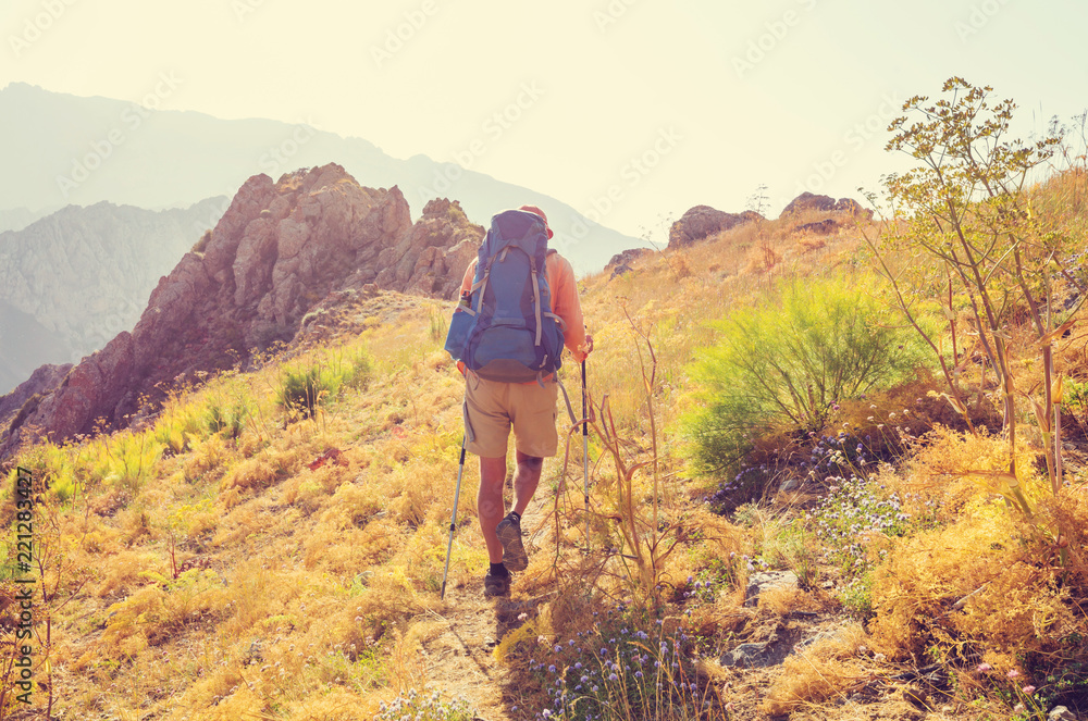 Obraz premium Summer hike