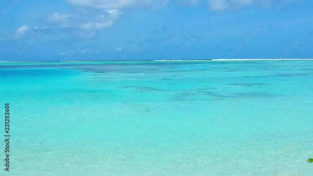 Aerial views of the dream beach with palm trees and turquoise ocean Aerial views of the dream beach with palm trees and turquoise ocean
