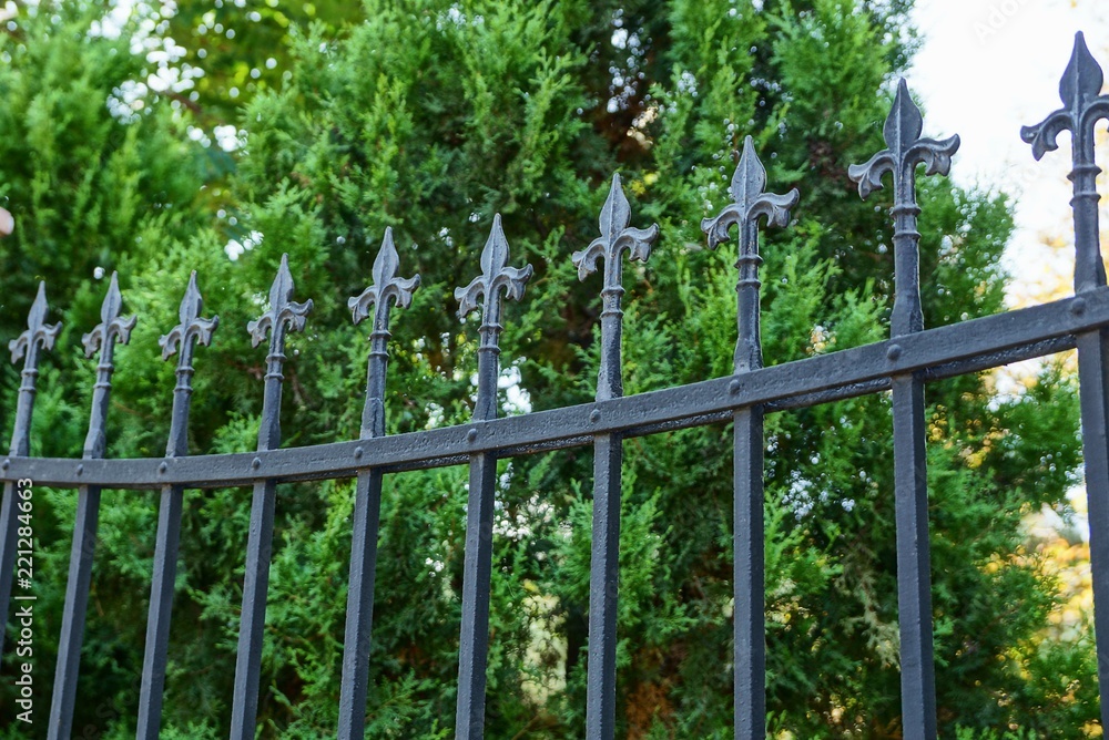 black sharp steel fence bars against the background of green vegetation black sharp steel fence bars against the background of green vegetation