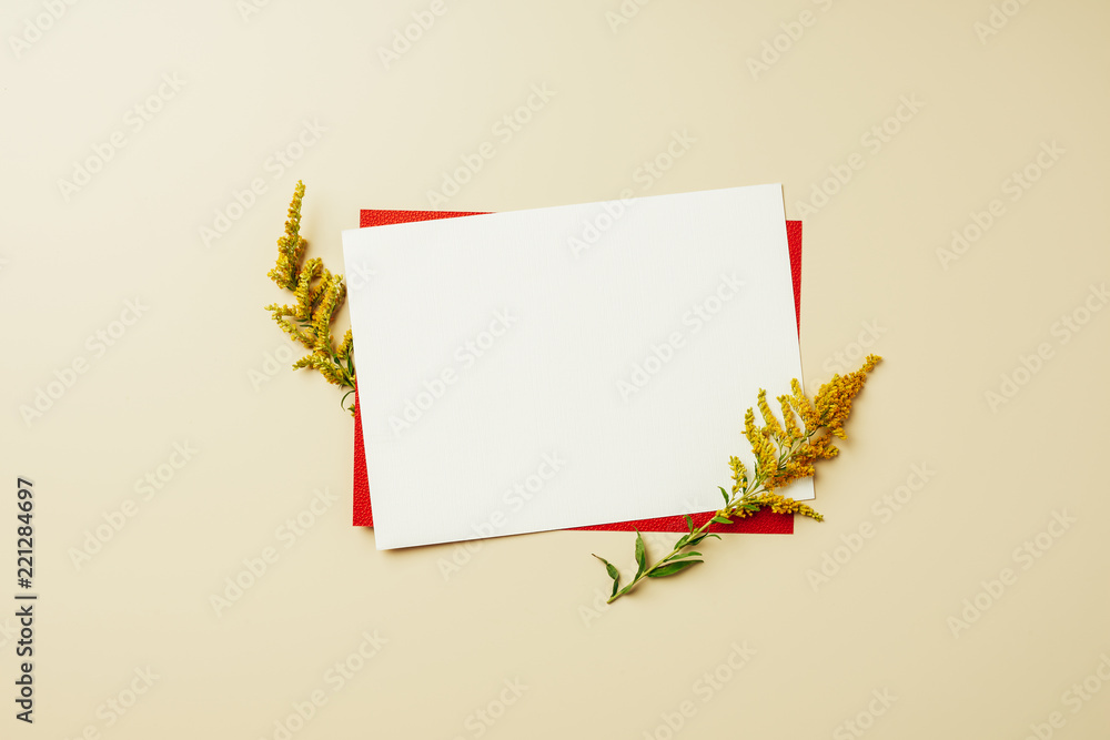 flat lay with arrangement of red and white blank cards and wildflowers on beige backdrop flat lay with arrangement of red and white blank cards and wildflowers on beige backdrop