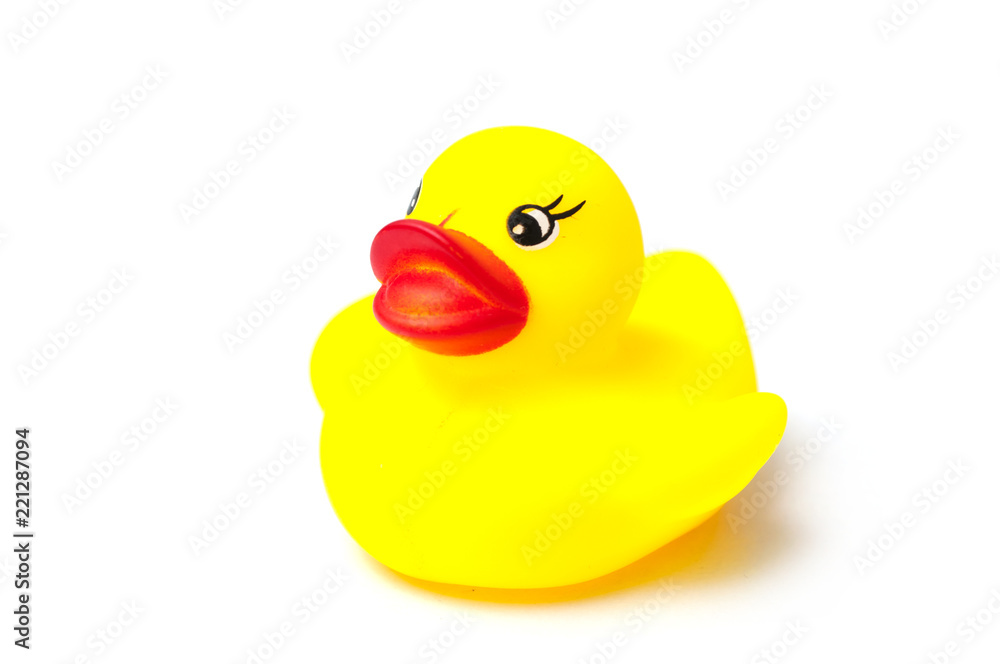 closeup of yellow rubber duck toy on white background closeup of yellow rubber duck toy on white background