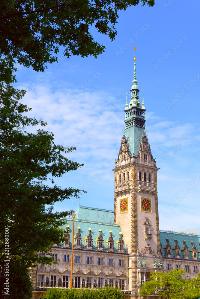 View of famous Hamburg town hall
