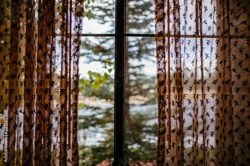 Fototapeta Widok lasu z mojego okna