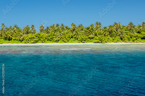 Exotic tropic nature. Blue sea, palm trees, coral reef, nobody on the beach © icemanphotos