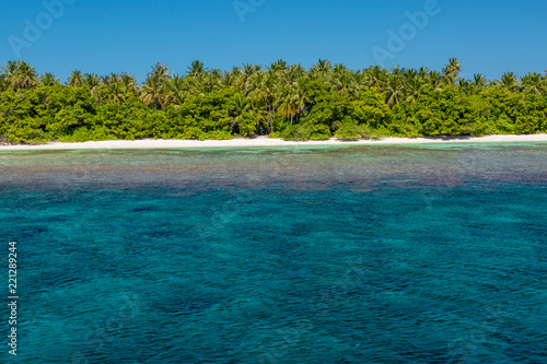 Exotic tropic nature. Blue sea, palm trees, coral reef, nobody on the beach