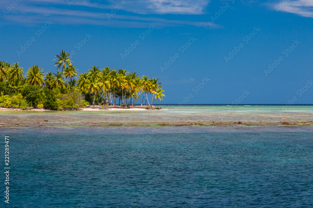 Exotic travel destination, blue sea, blue sky, palm trees