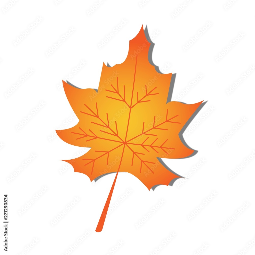 Autumn maple leaf isolated on a white background. Vector illustration. Autumn maple leaf isolated on a white background. Vector illustration.