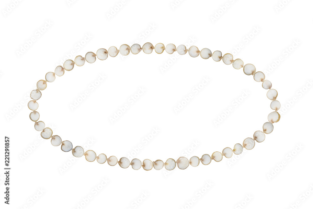 Quinoa seeds arranged in an ellipse shape and isolated on white background Quinoa seeds arranged in an ellipse shape and isolated on white background
