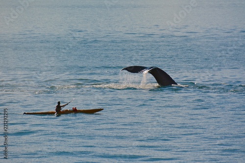 Close Encounter