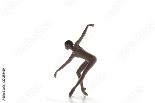 Obraz na plátně Young graceful female ballet dancer or classic ballerina dancing isolated on white studio