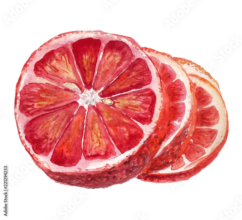 Watercolor slices of blood orange