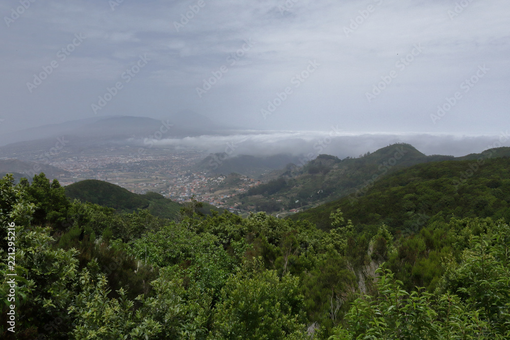 Fototapeta premium A path in the Anaga rural park in Tenerife island in the Canaries