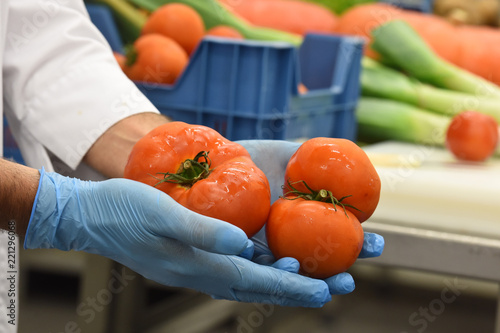 Εκτύπωση καμβά economie gaspillage legumes soupe sain alimentation alimentaire production  toma