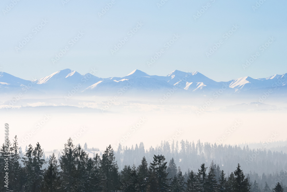 Winter landscape of mountains and forest