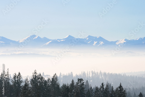 Fototapeta Naklejka Na Ścianę i Meble -  Winter landscape of mountains and forest