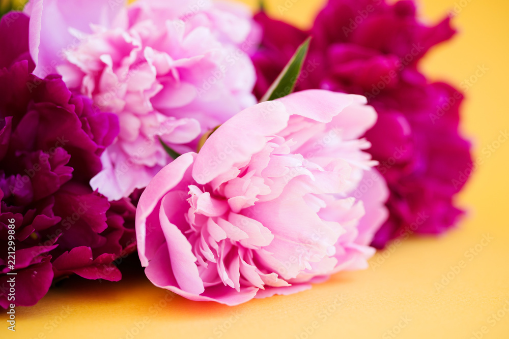 Bouquet of pink peonies on a cream background, top view, copy space