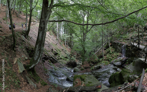 Trail to the Alpe Campra mountain hut  inside the Alps pines and firs forest  with a small water stream digged into the rocks and a protection railing