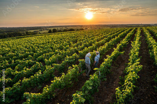Top view. Two French winegrowers in their vines at sunset photo