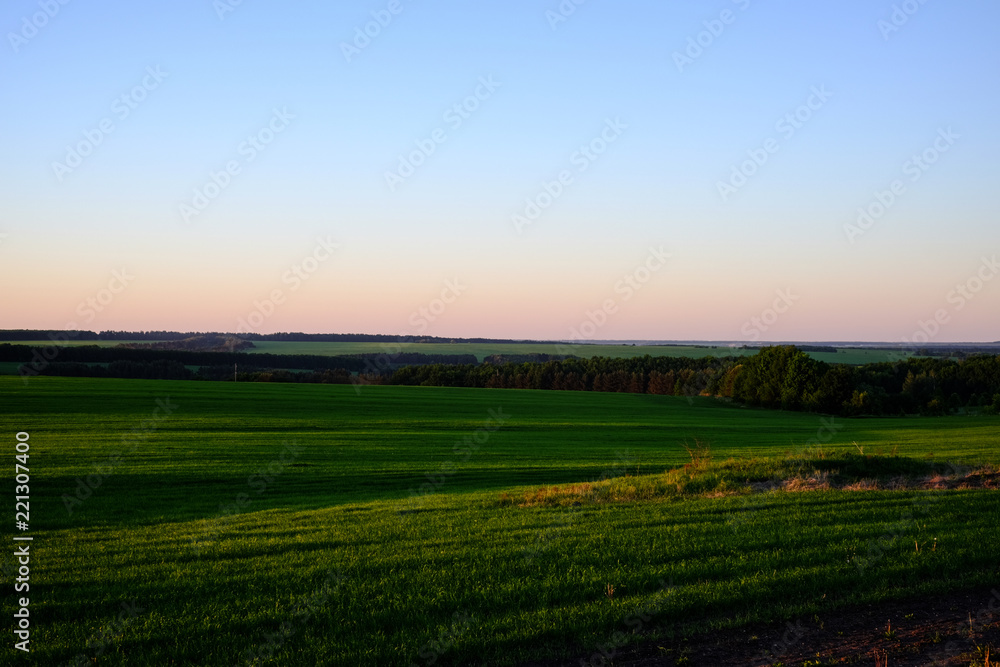 Landscape, sunny dawn in a sowed field.