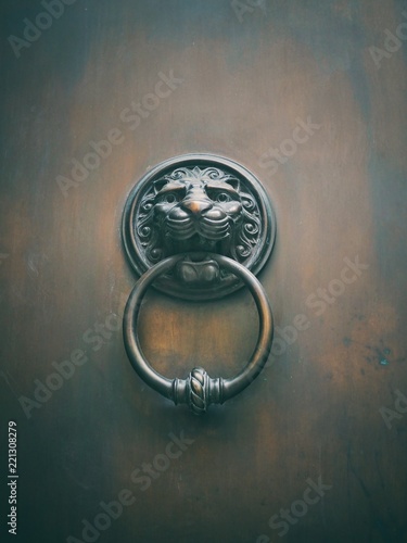 Lion Door Knocker