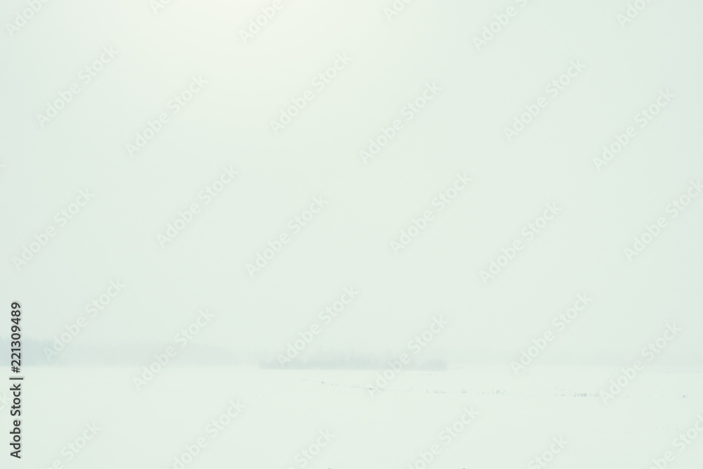 Winter landscape in a snowstorm. Winter landscape in a snowstorm.