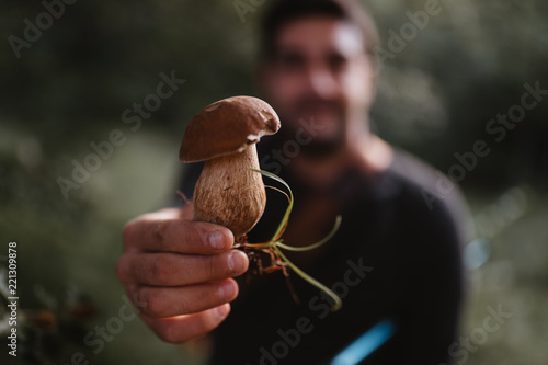 Fototapeta mushroom picking