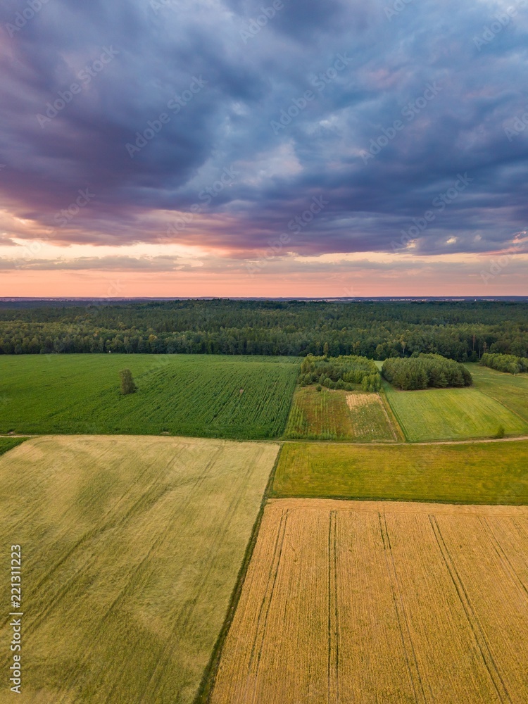 Aerial landscape with beautiful summer fields.