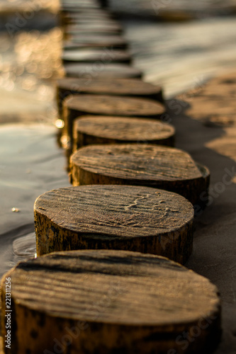 The tops of the logs of the breakwater sticking out of the water