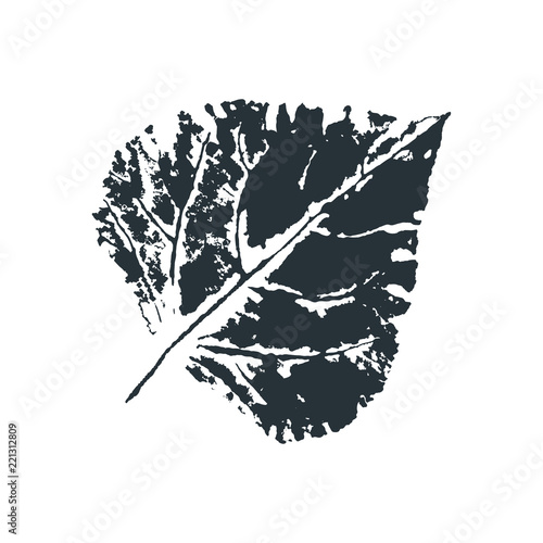 Vector poplar Leaf print. Inkprinted leaves of the trees on paper. Traced vector image.