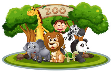 Foto auf Acrylglas Zoo Süße Tiere im Zoo  © GraphicsRF
