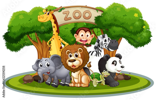 Cute animals in the zoo photo