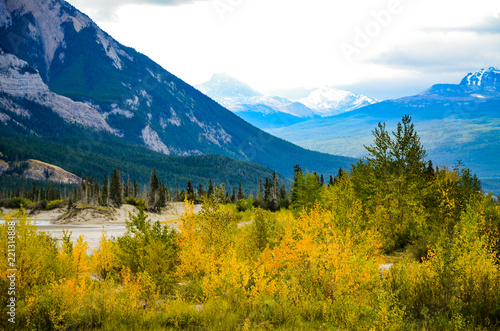 秋のカナディアンロッキー ジャスパーの黄葉と山並み（カナダ・アルバータ州）