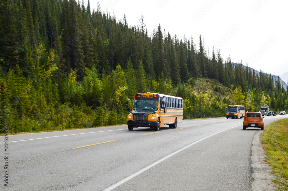 秋のカナディアンロッキー　ジャスパーを走るトランス・カナダ・ハイウェイとスクールバス（カナダ・アルバータ州）