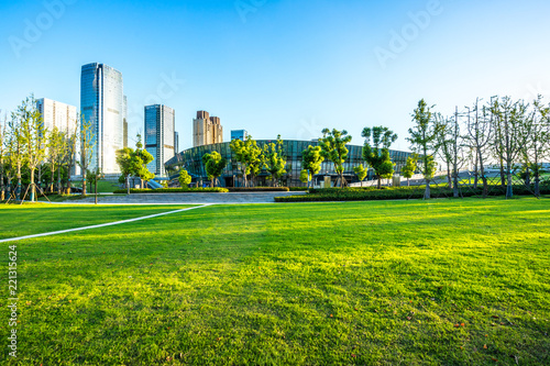 green lawn with city skyline in hangzhou china