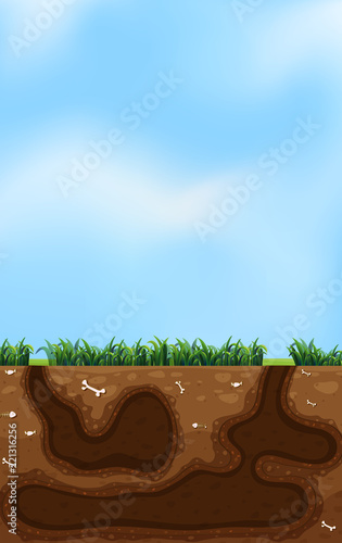 A underground animal hole