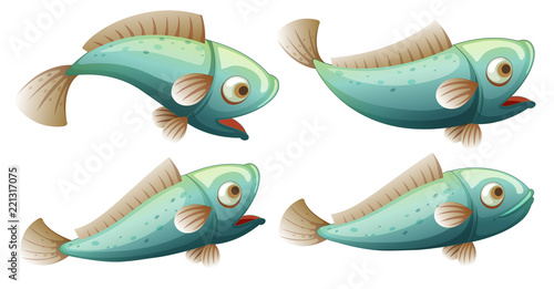 A set of fish on whitr background