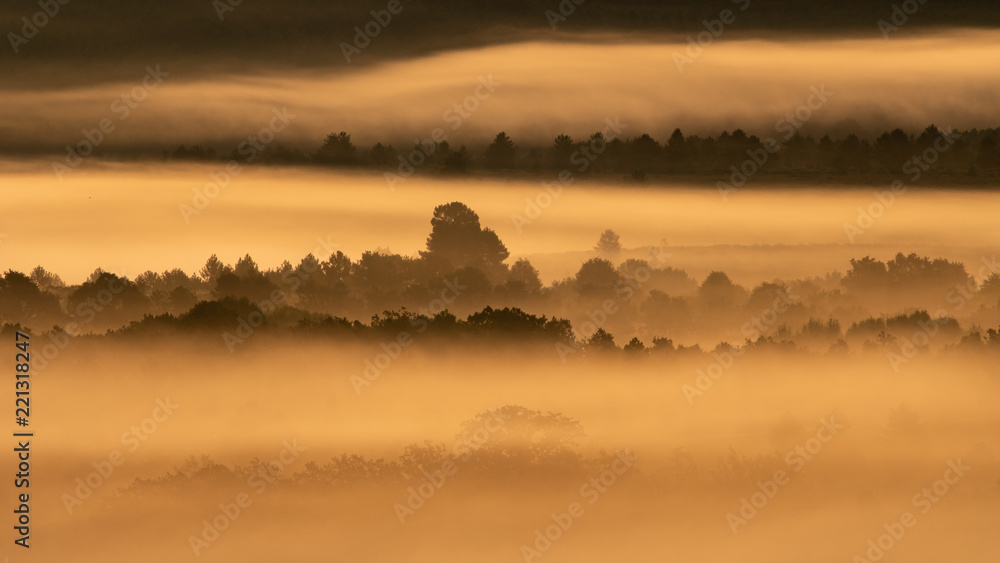 Foggy sunrise in the country with trees