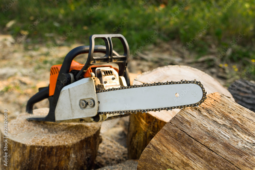 Close-up of woodcutter sawing chain saw in motion, sawdust fly to sides. Concept is to bring down trees. A person using a chainsaw on pretty wood.Woodcutter saws tree with chainsaw on sawmill - obrazy, fototapety, plakaty 