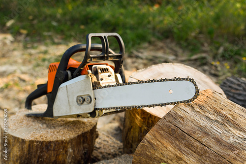 Fotografi Close-up of woodcutter sawing chain saw in motion, sawdust fly to sides