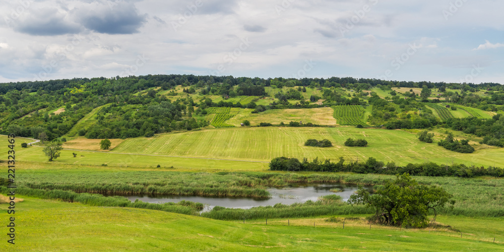 Teichwiesen bei Rohrbach  im Burgenland