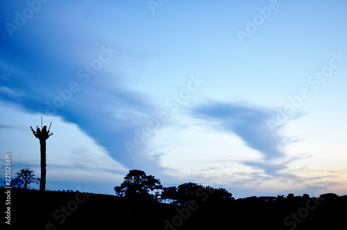 Wallpaper Mural Nubes Torontodigital.ca