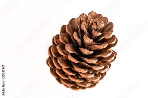 large pine cone on white background isolated on white background, concept of preparing for Christmas and new year 2019, decorate Christmas tree, waiting for winter and change of season