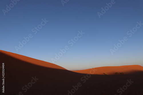 Fototapeta Naklejka Na Ścianę i Meble -  sahara desert,Merzouga,Camel,サハラ砂漠,モロッコ,朝焼け