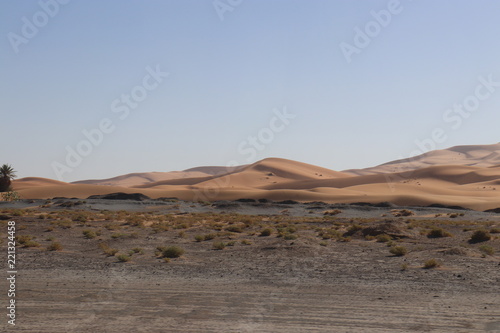 sahara desert,Merzouga,Camel,サハラ砂漠,モロッコ