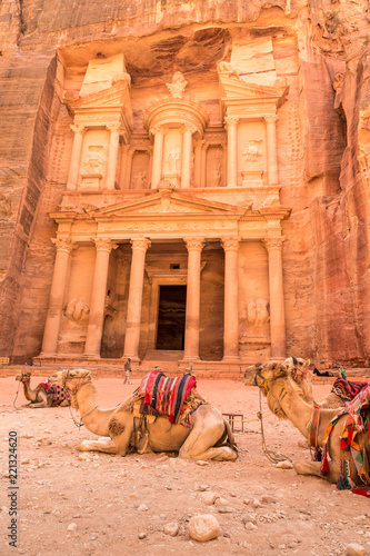 Camels resting near the ancient temple in Petra, Jordan