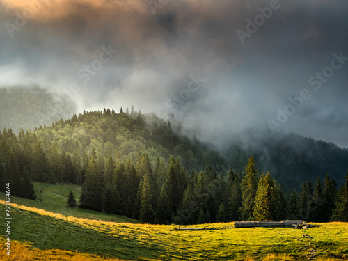 Fototapeta Naklejka Na Ścianę i Meble -  Dramatic mist in forest at sunrise. Morning sunshine with sun rays worming the earth, space for text, moody landscape