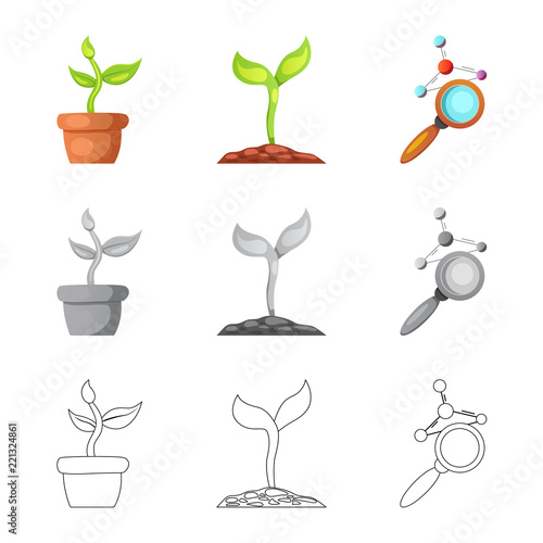 Isolated object of genetic and plant logo. Collection of genetic and biotechnology stock vector illustration.