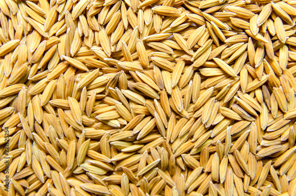 Background and wallpaper by pile of paddy rice and rice seed. Background and wallpaper by pile of paddy rice and rice seed.